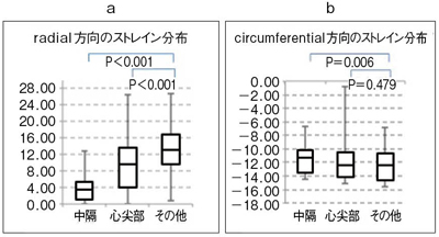 図6　区域別のピークストレイン radial方向の区域別のピークストレイン（a）はそれぞれのピークにばらつきが出ているが、circumferential方向のピークストレイン（b）はほぼ一定した値を呈していることがわかる。